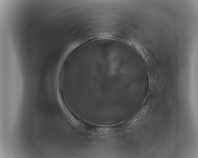 X0000111580145200907161432