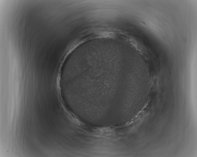 X0000111580146200907161432