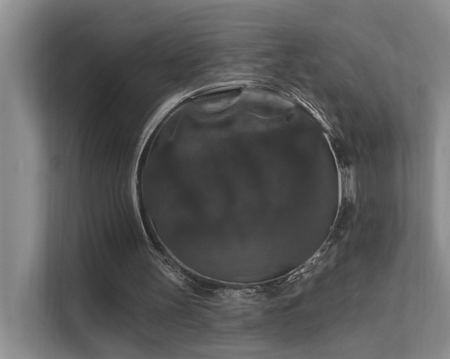 X0000111580147200907161432
