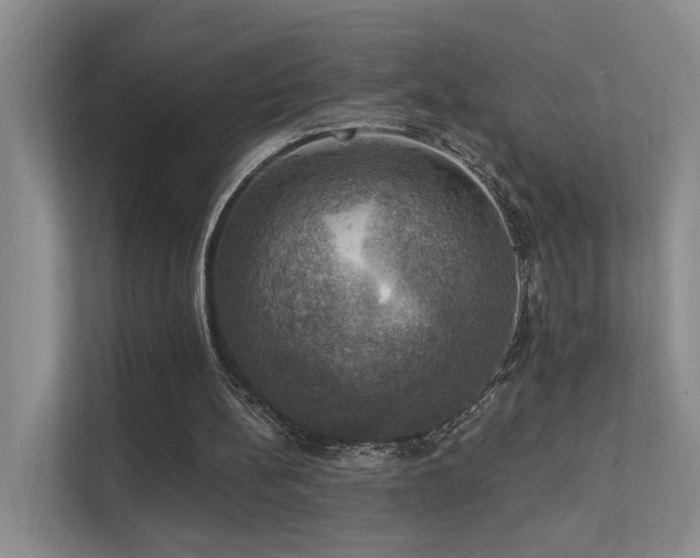 X0000111580148200907161432