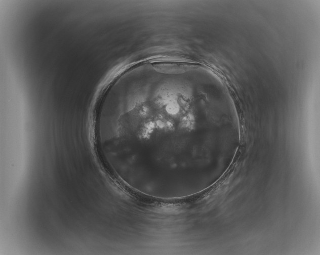 X0000111580149200907161432