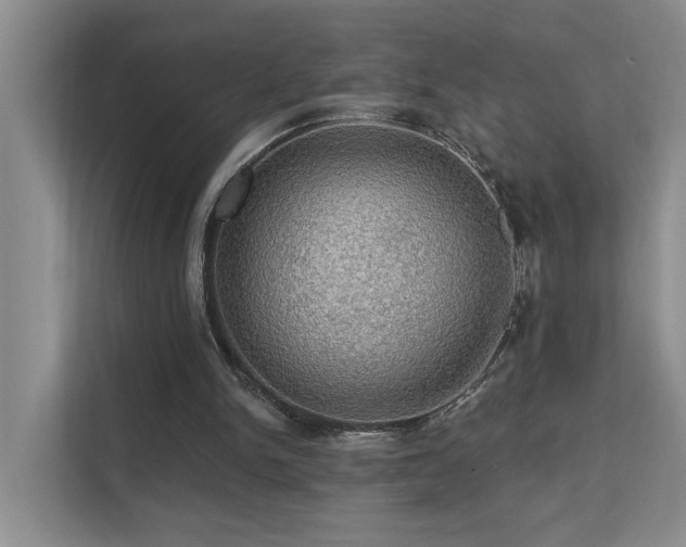 X0000111580150200907161432