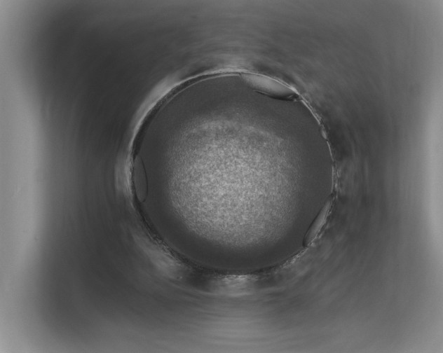 X0000111580152200907161432