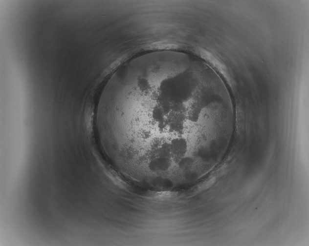 X0000111580153200907161432