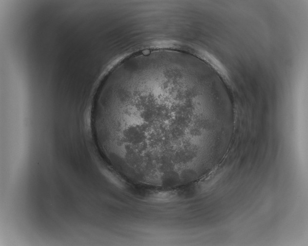 X0000111580155200907161432