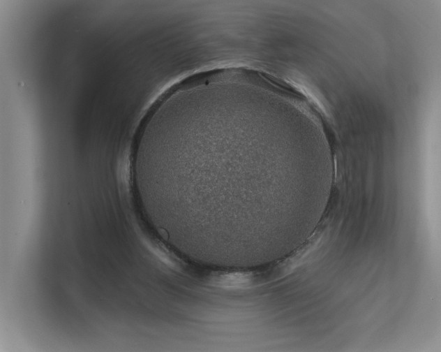 X0000111580156200907161432