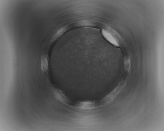 X0000111580158200907161432