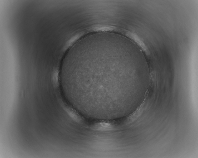X0000111580159200907161432