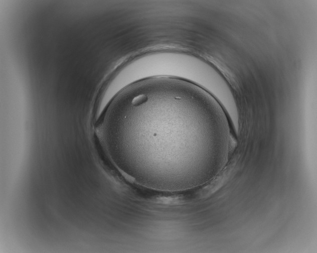 X0000111580160200907161432