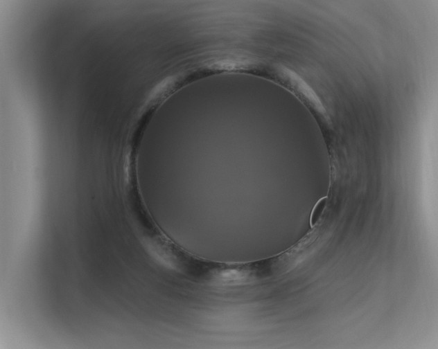 X0000111580163200907161432