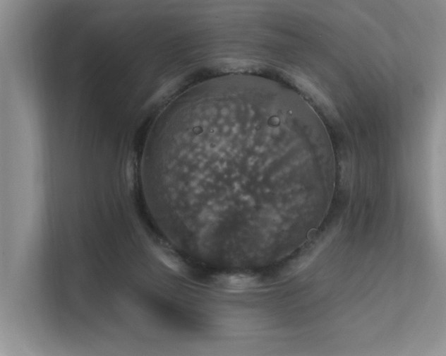 X0000111580165200907161432