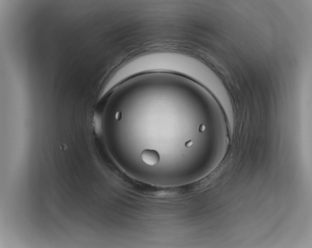 X0000111580168200907161432