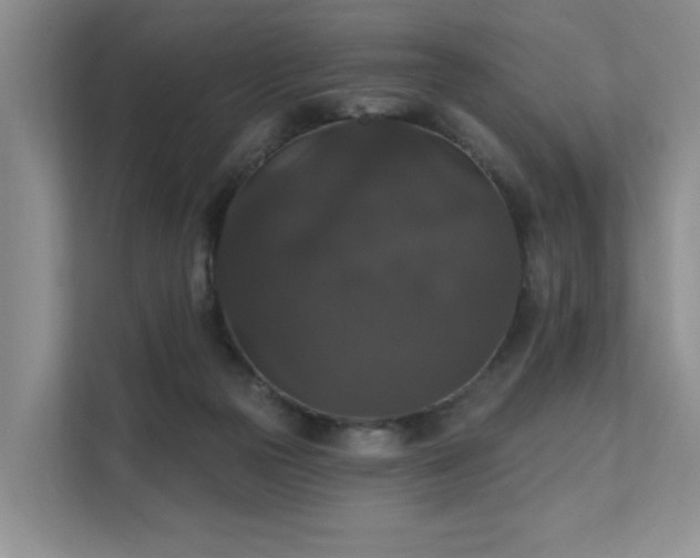 X0000111580169200907161432