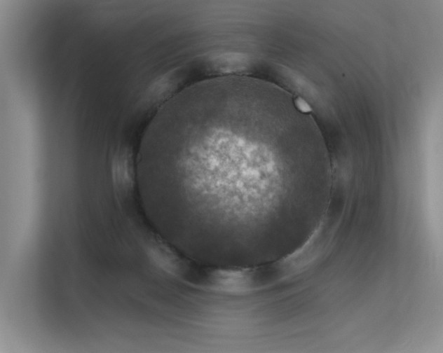 X0000111580170200907161432