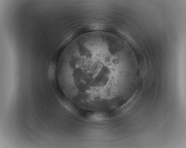 X0000111580171200907161432
