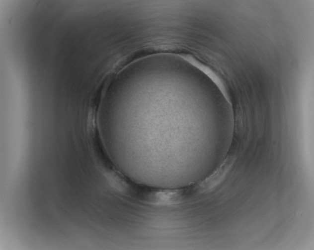 X0000111580172200907161432