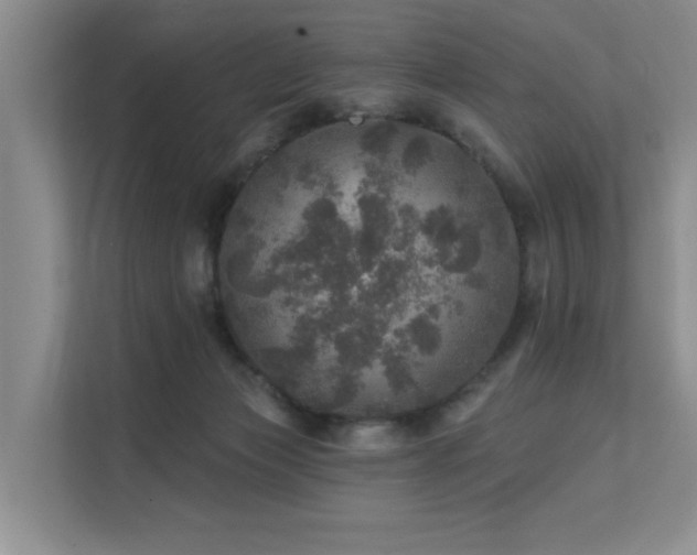 X0000111580173200907161432