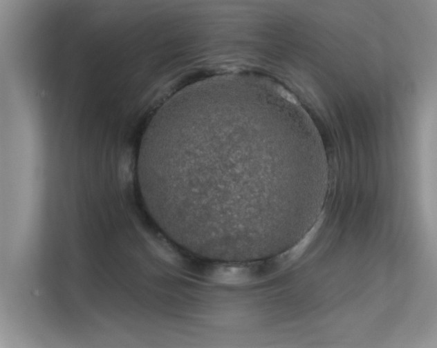 X0000111580174200907161432