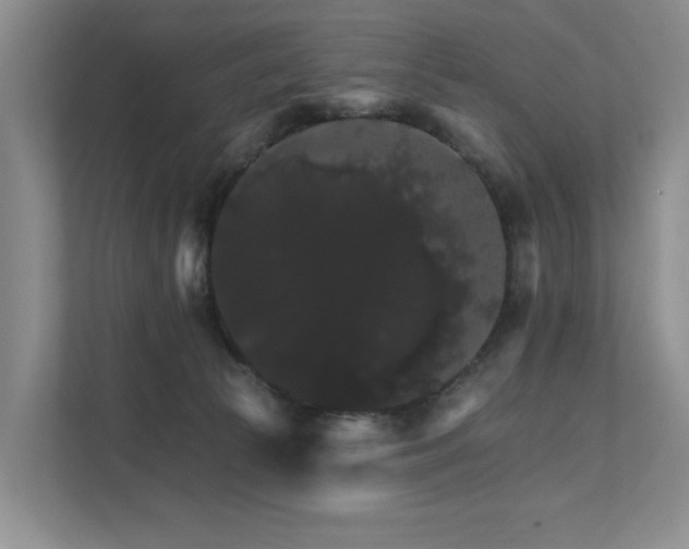 X0000111580177200907161432