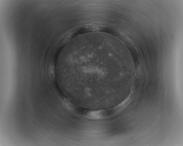 X0000111580178200907161432