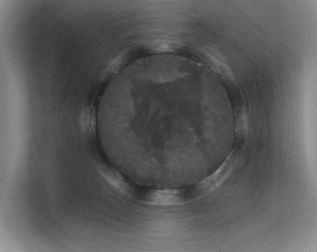 X0000111580179200907161432