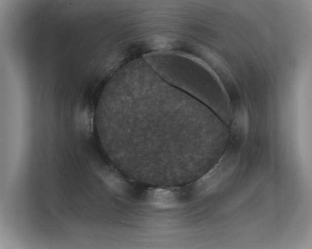 X0000111580180200907161432
