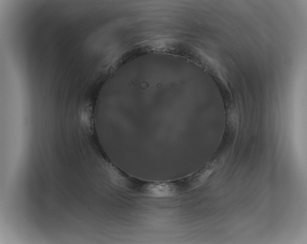 X0000111580181200907161432