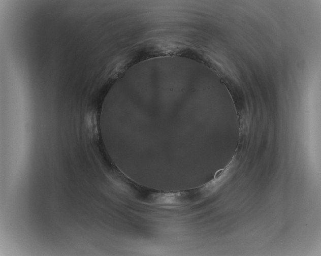 X0000111580182200907161432