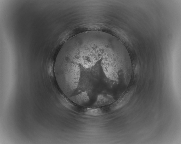 X0000111580185200907161432