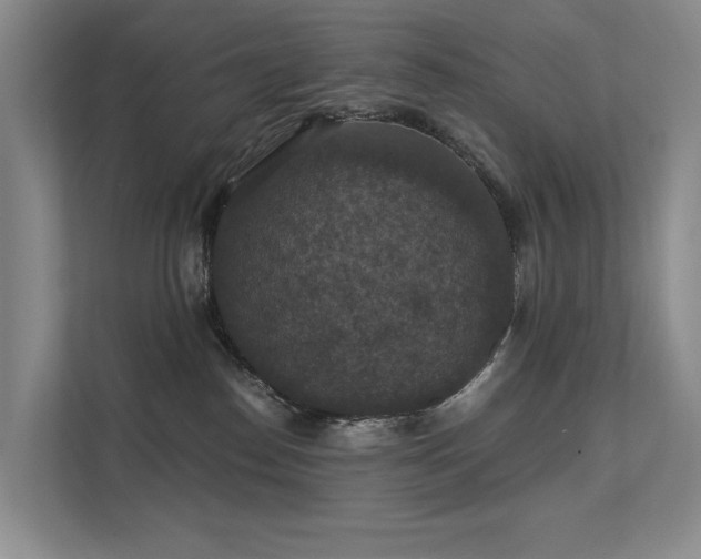 X0000111580186200907161432