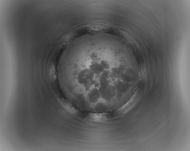 X0000111580187200907161432