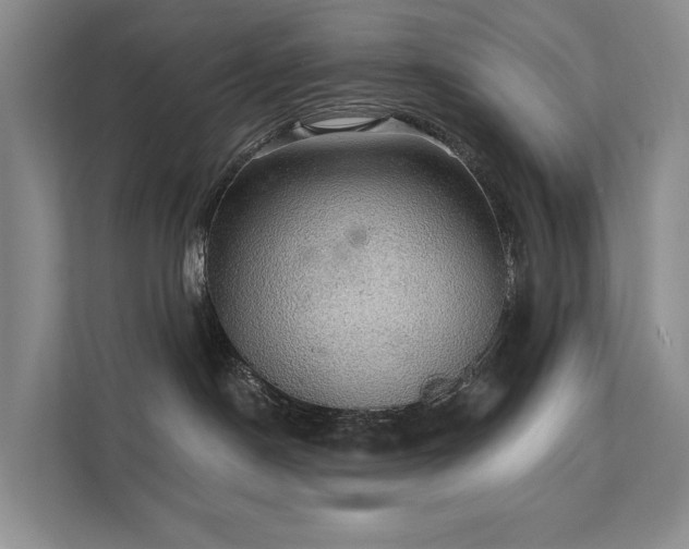 X0000111580190200907161432
