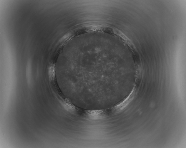 X0000111580191200907161432