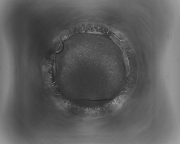 X0000111580192200907161432