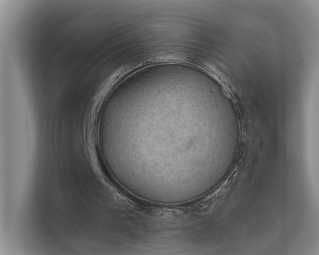 X0000111580193200907161432