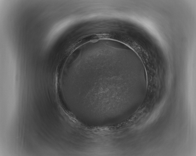 X0000111580194200907161432
