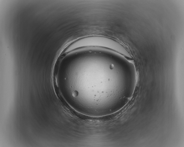 X0000111580195200907161432