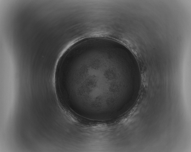 X0000111580196200907161432