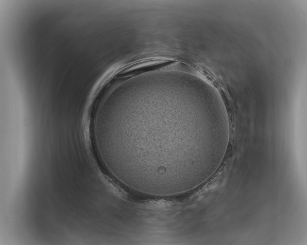X0000111580197200907161432