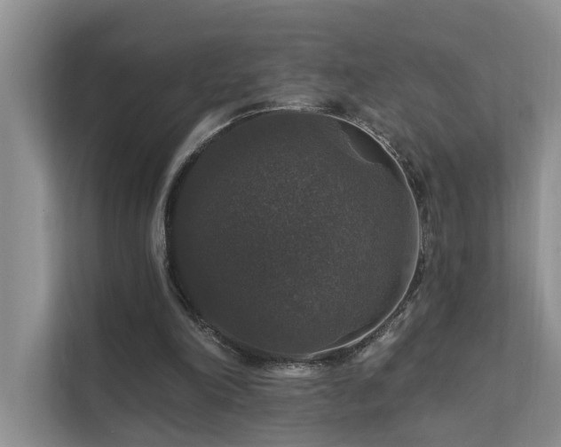 X0000111580198200907161432