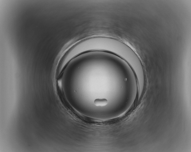X0000111580199200907161432