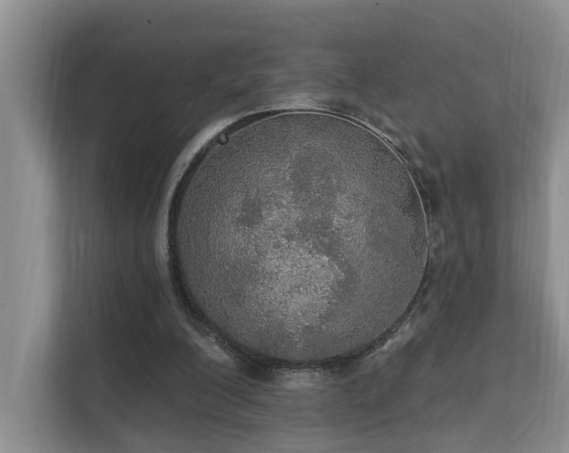 X0000111580200200907161432