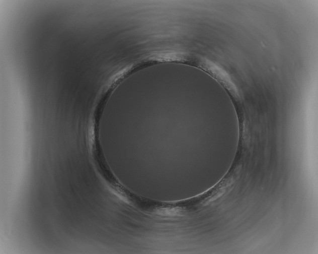 X0000111580202200907161432