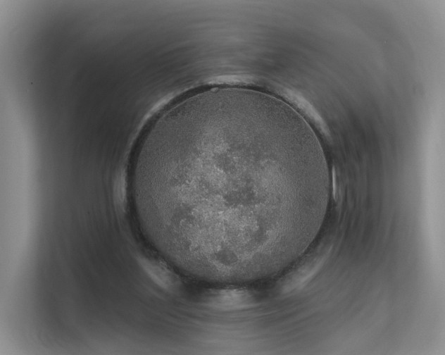 X0000111580204200907161431