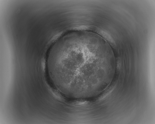 X0000111580206200907161431