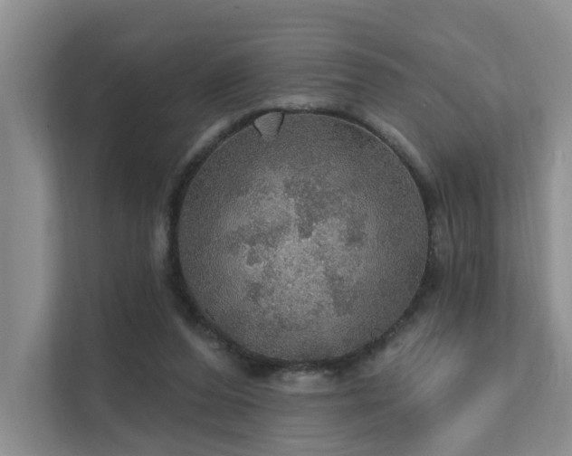 X0000111580208200907161431