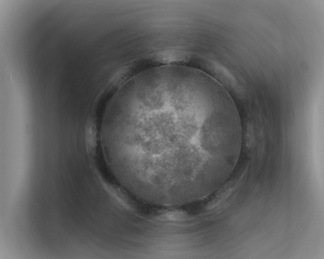 X0000111580210200907161431