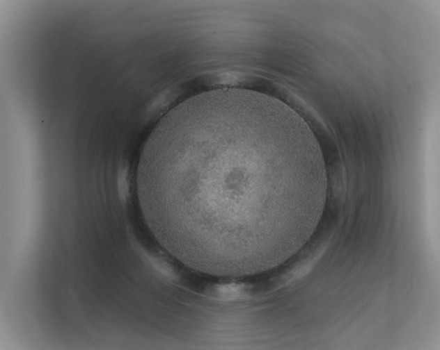 X0000111580216200907161431