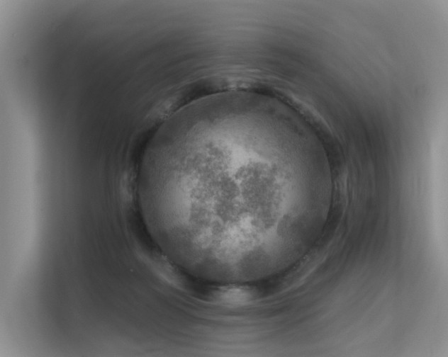 X0000111580218200907161431
