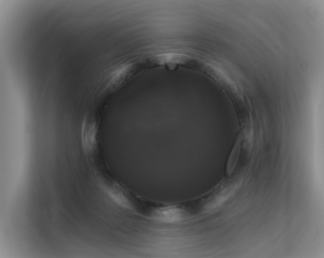 X0000111580219200907161431